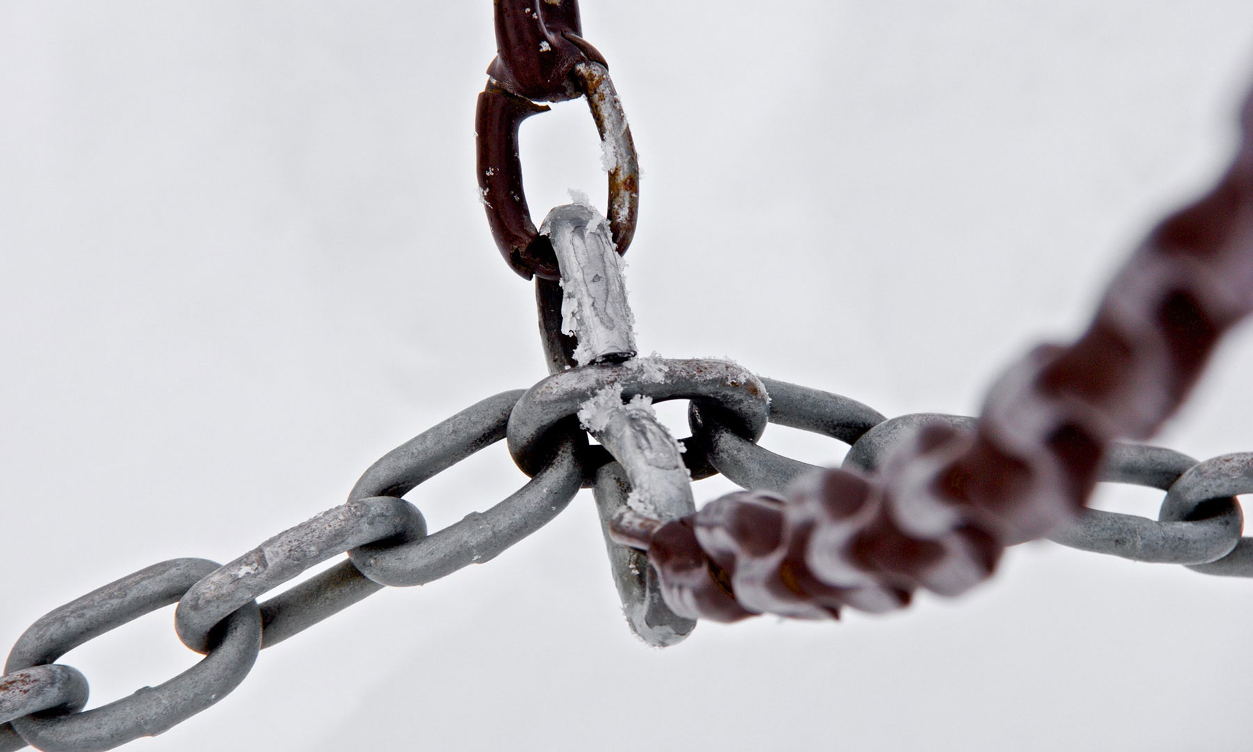 Der Backlink Guide: SEO Booster Linkbuilding